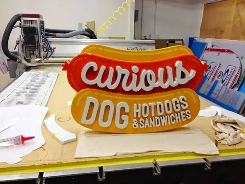 Curious Dog